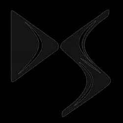 DS
